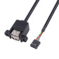 2 Stück 30cm USB 9Pin zu Dual USB 2.0 Port mit Ohren sichere Verlängerung Kabeladapter - Euroharry GmbH